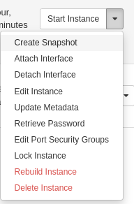 Master instance snapshot (1)